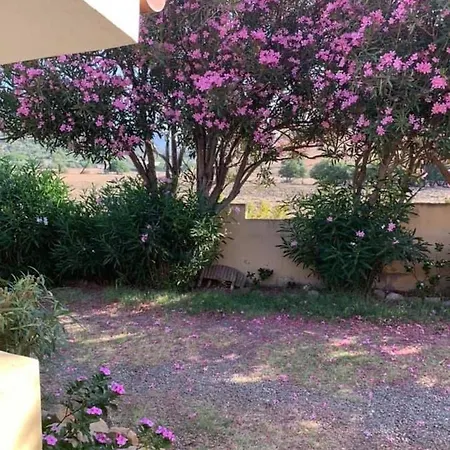 Marisol Solanas (Cagliari)